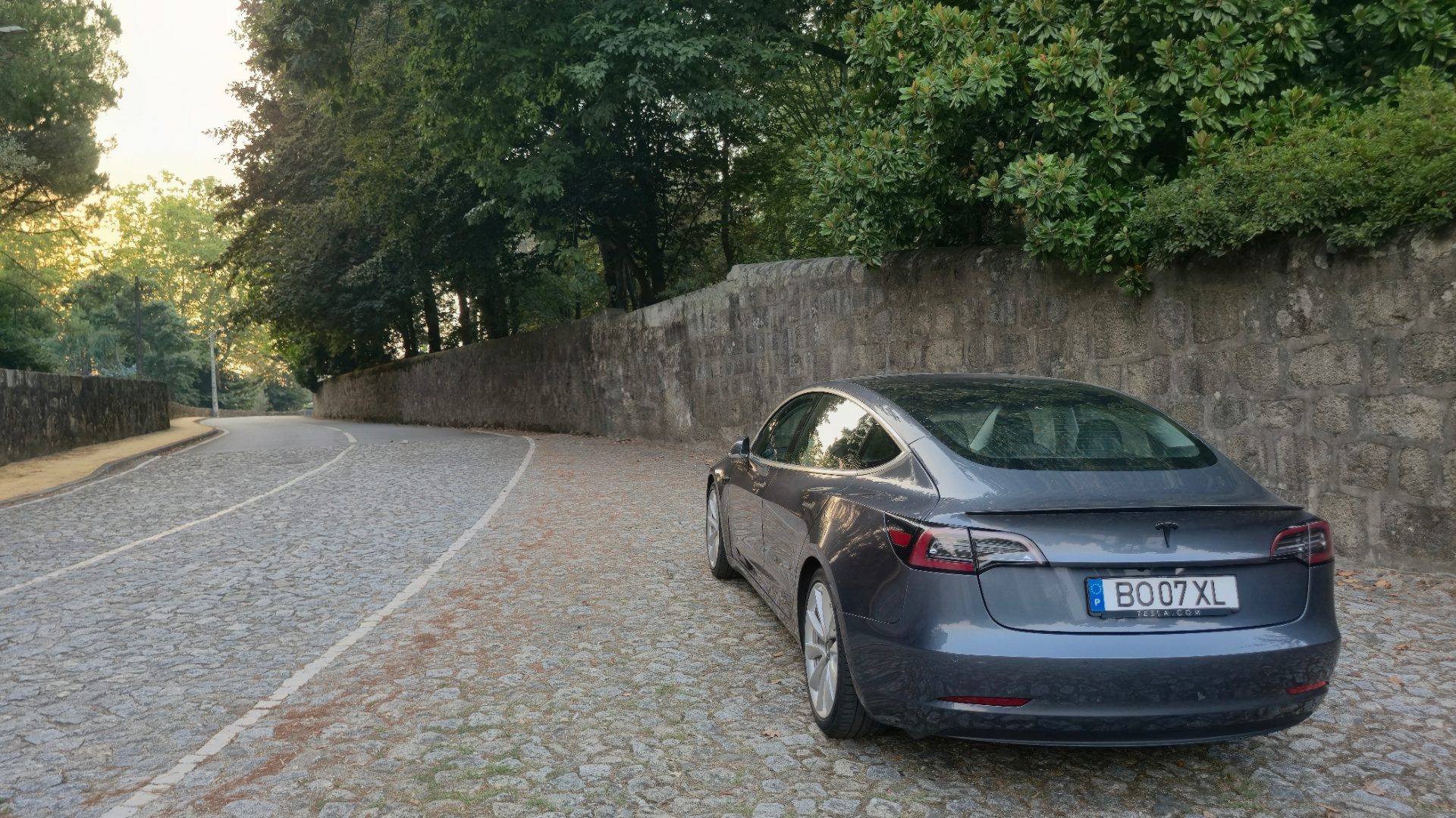 Tesla 3 SR Rwd 2019 — fotografia 9