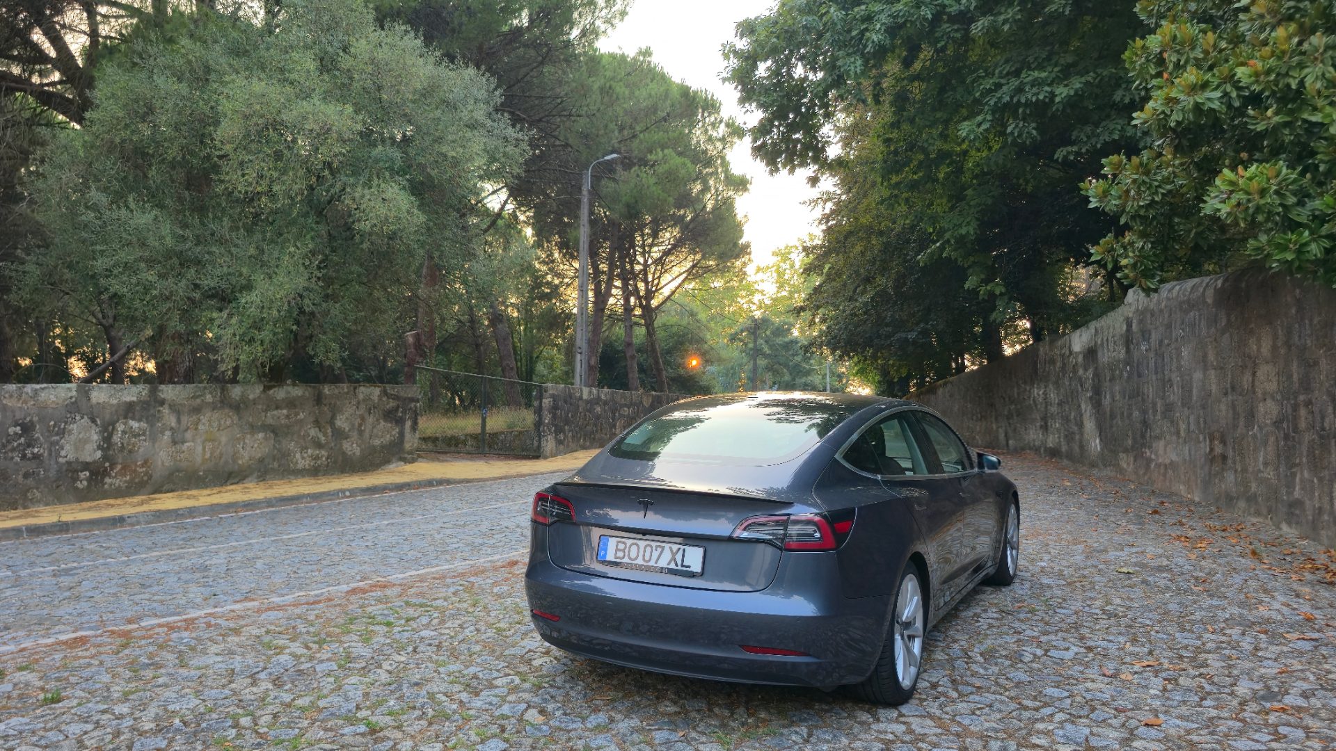 Tesla 3 SR Rwd 2019 — fotografia 8