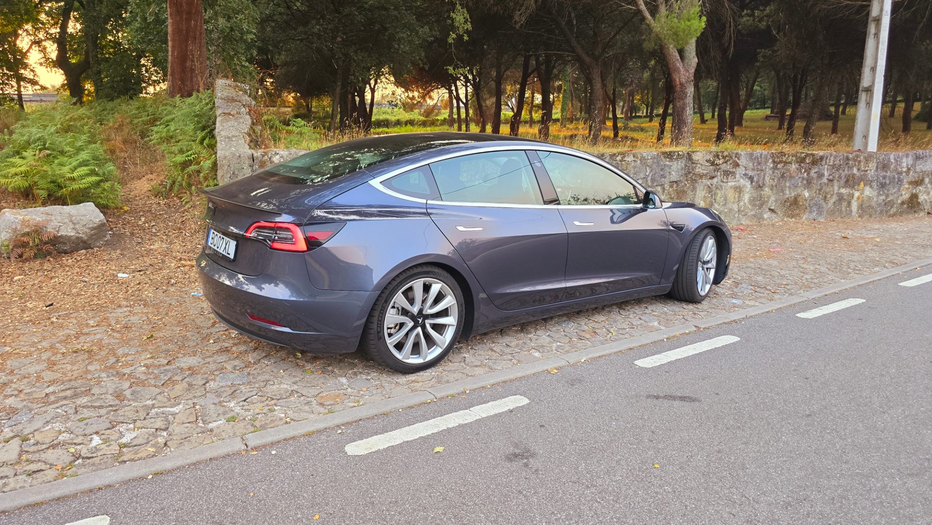 Tesla 3 SR Rwd 2019 — fotografia 23