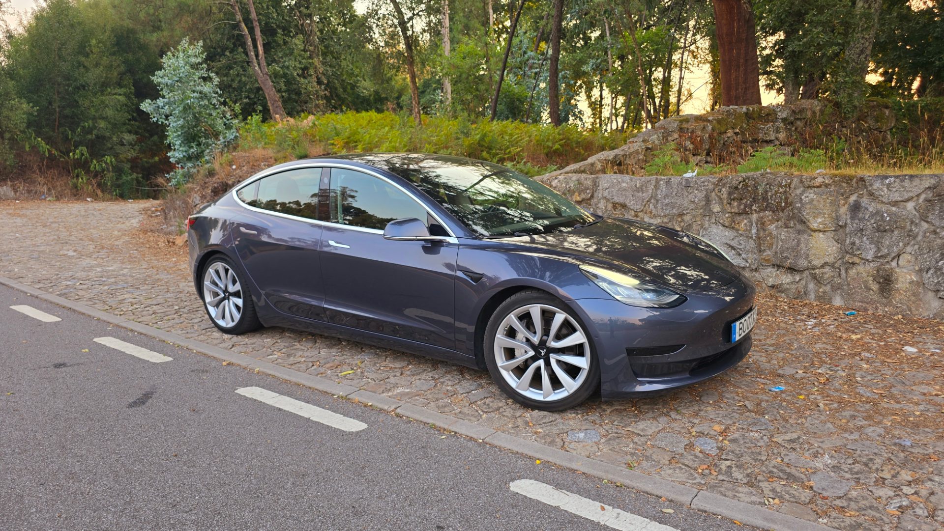 Tesla 3 SR Rwd 2019 — fotografia 21