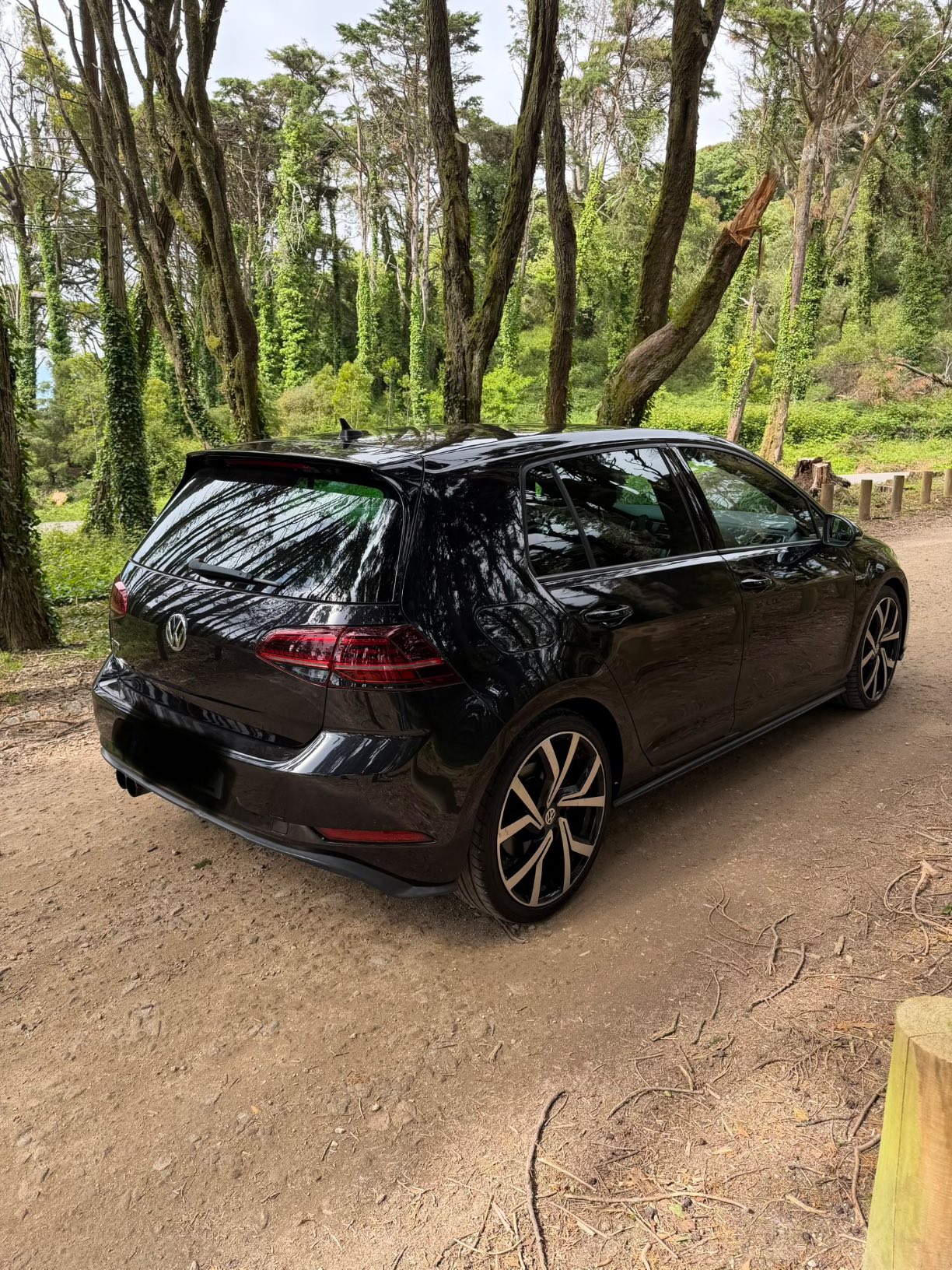 Golf GTD 7.5 2018 – 2.0 TDI 184cv DSG — fotografia 2