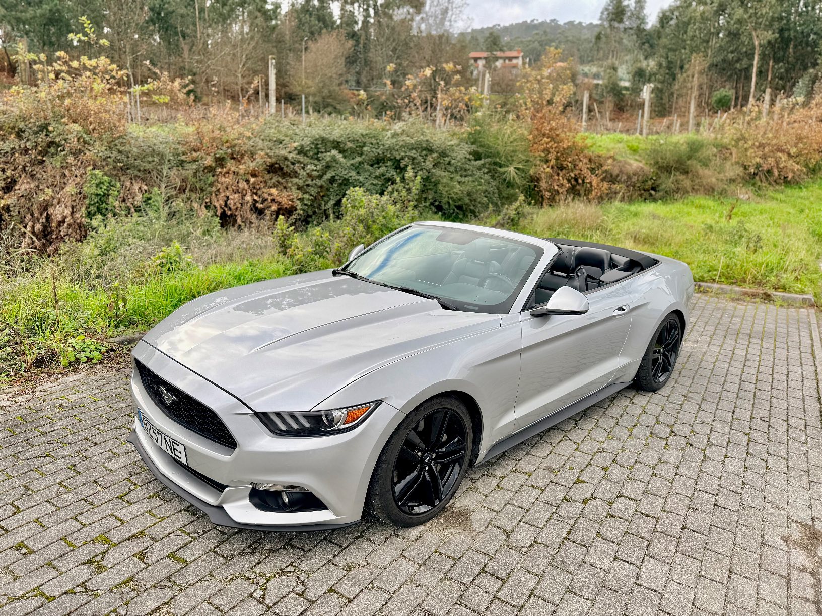 FORD MUSTANG CABRIO 2.3 ECOBOOST | 2017